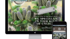 website_westernevergreen_hp2
