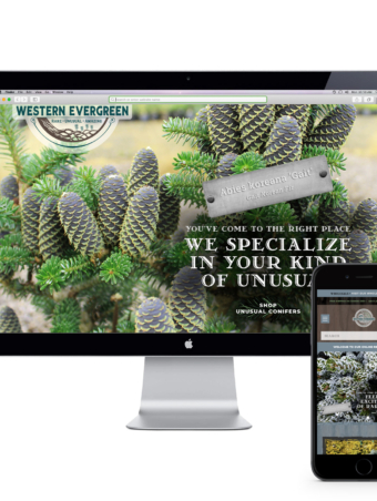 website_westernevergreen_hp2